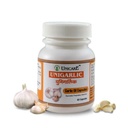 Unicare Unigarlic Garlic Oil Capsules 60 Count | Kashmiri Garlic Oil | Ayurvedic Herbal Supplement for Daily Wellness