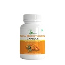 Sea Buckthorn Capsule | Pure Extract for Immunity Boost and Radiant Skin Health 1000Mg Potent Formula 30 Capsules Pack | Color White | Size 30 Caspules Of 1000Mg