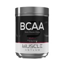 Muscle Asylum BCAA Powder | Muscle Recovery, Energy & Focus Support | Essential Amino Acids for Workout Performance (30 Servings 240g, Fruit Punch)