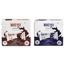 Whey91 Choco Fudge Protein Bar, 10g Protein & 4g Fiber in each, No Added Preservatives, No Artificial Flavours, 210g- (Pack of 6)|Whey91 Blueberry Blast Protein Bar, 10g Protein & 3.9g Fiber in
