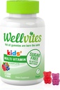 Wellvites Kids Multivitamin Gummies - Χωρίς ζάχαρη, Vegan, Non-GMO, Vitamin A, D, B6, B12 και C - Χωρίς τεχνητά γλυκαντικά, Gluten-free, Gelatin-free - 60 Count (30 Day Supply)