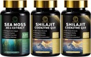 Sea Moss ve Shilajit Capsules for Men & Women, All in 1 Supplements with Shilajit, Sea Moss, Coenzyme Q10, Black Seed, Ashwagandha, Burdock for Energy, Antioxy & Immune Support