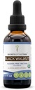 Tribe Black Walnut USDA Organik | Alkol Özgür Tür, Yüksek Lisans Herbal Drops | %100 sertifikalı Organik Black Walnut (Juglans Nigra) Hull 2 ozz