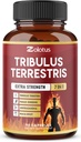 Tribulus Terrestris Capsules with Ashwagndha, Panax Ginseng, Saw Palmetto, Maca, Shilajit - 90 Capsules - 3 Ay Supply