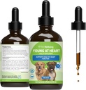 Pet Wellence Young in Heart for Dogs - Heart Health, Circulatory & Cardiovascular System, Hawthorn, Motherwort, Schisandra - Veterinarian-Formated Herbal Supplement 4 fl oz (118 ml)