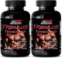 Erkekler için haplar uzun ve güçlü - TRIBULUS TERRESTRIS EXTRACT 1000MG - MUSCLE STRENGTH, erkek fertilite, erkek libido hapları, erkek seks hapları, erkek geliştirme, stamina yükseltici, 2B 120 Tablet