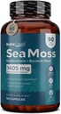 Sea Moss | Irish Sea Moss Capsules with Bladderwrack, Burdock Root & BioPerine for Ab component. Prebiyotik & Immune Support | 90 Days Supply - 180 Capsules