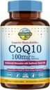 Terranics CoQ10 100 mg, 120 Softgels, Ekstra Virgin Zeytinyağı, Kalp Sağlığı ve Enerji Üretimi