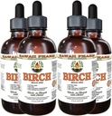 Birch Alkol Özgür Sıvı, Birch (Betula Alba) kuru Bark Glycerite Hawaii Pharm Natural Herbal Supplement 4x4 oz