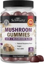 Mushroom Gummies for Adults - 10 σε-1 Λειτουργικό συμπλήρωμα μανιταριών για Mood και Focus με τα λιοντάρια Mane Τουρκία Tail Cordyceps Shiitake Reishi - Vegan, Non-GMO, Fresh Raspberry Flavor, 60 Count