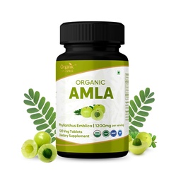 Amla 120 δισκία – USDA Organic Indian Gooseberry – Πλούσιο σε βιταμίνη C & Υποστηρίζει την Ανοσολογική Υγεία*