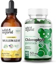 Wild & Organic Mullein 4 oz & Chlorophyll Gummies 60 Chews