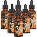 Λιποσωμικό Mushroom Complex Drops 2000 MG - 20 Βιολογικά Mushroom Extracts - Προηγμένη Υγρή Φόρμουλα για Ανοσία, Γνωστική και Μνήμη - Lions Mane Supplement, Reishi, Cordyceps, Chaga, 180 Services