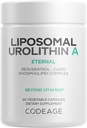 Kodaj Liposomal Urolithin A Supplement 500 mg Per Servis + Resveratrol, Betaine, CoQ10, Ellagitannins - A New Frontier Beyond NADH, NMN, NAD, NR ve PQ Capsules - Bio available - 60
