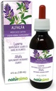 Naturalma Alfalfa ή Lucerne (Medicago Sativa) βότανο με λουλούδια Αλκοόλ-ελεύθερο Βάμμα - Πλούσιο σε φυσική χλωροφύλλη - 4 fl oz υγρό εκχύλισμα σε σταγόνες - φυτικό συμπλήρωμα - Vegan