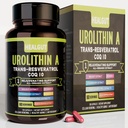 Urolithin A Supplement for Urban Working Women: Αντιγηραντικές κάψουλες με Trans-Reεσβερατρόλη και CoQ10 - USA Lab Επαληθευμένο Υποστήριξη Υγιεινή γήρανση και Κυτταρική Ανανέωση (9in1)