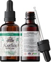 Plantain Tincture, Organik Plantain Ekstraksiyon (Plantago Major) Kuru Broşür Sağlık Tamam, Soğuk-Basın Organik Sebze Glycerin 2 oz, 670 mg