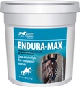 Kentucky Performance Endura-Max Electrolyte συμπλήρωμα για τα άλογα, 5 λίρες