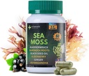 Sea Moss Κάψουλες – 16-σε-1 Sea Moss Συμπλήρωμα με Bladderwrack, Burdock Root, Μαύρο Λάδι Σπόρου, Ashwagandha – Ανοσοποιητική Υποστήριξη & Ενέργεια Booster – 60 Vegan Κάψουλες (19445mg)