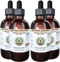 Hawaii Pharm White Willow Alcohol-Free Liquid Extract, Organic White Willow (Salix Alba) Αποξηραμένο Μπαρκ Γλυκερίτης Φυσικό συμπλήρωμα βοτάνων, ΗΠΑ 4x4 fl.oz