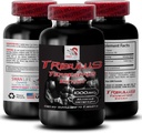 Φόρμουλα υποστήριξης Stamina - TRIBULUS TERRESTRIS EXTRACT - Επαναφόρτιση ισχύος, μείγμα υποστήριξης δύναμης, φυσική ενίσχυση, ενέργεια που τροφοδοτείται από φυτά, φόρμουλα υποστήριξης σώματος, δύναμη και δύναμη, ενεργό δύναμη 1Bot 90Tab