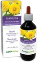 Naturalma Dandelion (Taraxacum officinale) Ρίζα και βότανο Αλκοόλ-ελεύθερο Βάμμα - 6.76 fl oz Liquid Extract in Drops - φυτικό συμπλήρωμα - Vegan