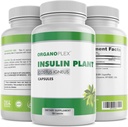 Insulin Plant Capsules (Costus Igneus), 100% Natural Supplement, 360 Veggie Caps (2 Ay Supply) - Insulin Plant Capsules (Costus Igneus), 100% Natural Supplement, 360 Veggie Caps (2 Ay Supply) - Insulin Plant Capsules