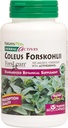 NaturesPlus Herbal Actives Coleus Forskohlii - 60 κάψουλες χορτοφάγων - Χωρίς γλουτένη - 60 εξυπηρετήσεις