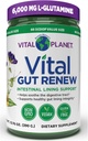 Vital Planet - Vital Gut Renew Toz Supplement for Leaky Gut, L-Glutamine, Marshmallow ve Ginger Root, DGL Licorice Root ve Organik Aloe Vera, L Glutamine 6000 mg 13.76 ozamine