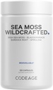 Codeage Raw Wildcrafted Irish Sea Moss Supplement, Spirulina Algae, Bladderwrack Seaweed, Burdock Root, Black Pepper, Vegan, Non-GMO, 120 κάψουλες