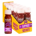 Vive Organic Immune Support Elderberry Shot, Cold-Pressed Turmeric & Ginger, Gluten Free, Vegan, Immunity Boost Elderberry, 2 Fl Oz (Brook of 12)