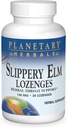 Πλανητικά βότανα Slippery Elm Lozenges, βοτανική υποστήριξη λαρύγγι, 24 Lozenge