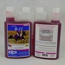 SU-PER B-12 Energy Horse Supplement - Βιταμίνες Equine B-12 & B-9 Follic Acid Support Liquid - Red Blood Cell Production & Stamina Support for Peak Performance - Quart, (2 Pack)