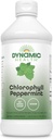 Dinamik Sağlık Sıvı Klorophyll Peppermint 100 mg, sodyum Copper Chlorophyllins with Alfalfa and Mulberry Leaves, Plant Cleanse and Deodoring, Nodrew Sugar, 16 Fl Oz