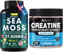 Deniz Moss & Kretine Monohidrat Gummies Sche 270 Kont - Organik Deniz Moss Black Tohum Petrol Aşhwagandha Ginger & Kretin Monohidrat (2 Pack)