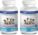 PET SUPPLEMENTS & NUTRITION LLC Dog Incontinence Male - Dog Urinary Tract Support - Natural Cranberry Solution - Bladder Health - Vet Önerilen - Köpekler için max Cranberry - 2 Şişe (180 Tedaviler)