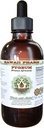 Afrika Cherry Pygeum Alkol Özgür Madde, Afrika Cherry Pygeum (Prunus Africana) Bark Glycerite Natural Herbal Supplement, Hawaii Pharm, ABD 4 ozz
