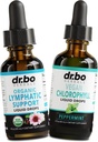 Lymphatic Drainage Supplements & Chlorophyl - Organik Lymphatik Destek Sıvı Merdivenleri Temiz ve Sıvı Klorophyll Drops Odor Cleanse Body Detox - İç Deodorant Detox