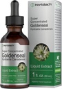 Horbäach Goldenseal Root Tincture | 1 Fl Oz | Liquid Extract Supplement | Hydrastis Canadensis Herb Drops | Alcohol Free | Vegetarian, Non-GMO, and Gluten Free