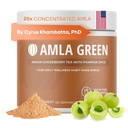 Amla Powder Superfood Supplement with Pumpkin Spice, 20x Εξαιρετικά συμπυκνωμένη Άμλα, Κατασκευασμένη με κανέλα, Τζίντζερ, Μοσχοκάρυδο, Γαρύφαλλα, Μπαχαρικά, Κάρδαμο, Ινδικά φραγκοστάφυλα, Κολοκύθια, 90 Σερβιέτες