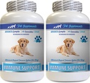 Immune Support Vitamins - Köpekler Immune Support - Burdock Root Extract Organik - Köpekler için Burdock Kökleri - Immune Dog Pills, Immune Support for Dogs probiyotik, Immune Support Supplement 2 Bot (120 Chews