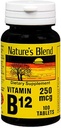 Nature's NAT B Vitamin B12 TB, 100 Count