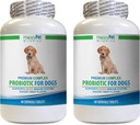Dog probiyotik Organic - Dog Premium PROBIOTICS - Savory Beef Flavor - Stops Diarrhea Bad Gas Bad Breath - Gut Health - Bad Breath Home Remedies - 2 Şişeler (120 Tedaviler)