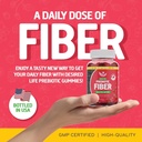 Χωρίς ζάχαρη Προβιοτικές Ίνες Gummies για ενήλικες παιδιά Μικτή Berry Flavor Plant Συμπλήρωμα για γυναίκες άνδρες, Καθημερινή Digestive Υγεία Κανονικότητα 60 Count (πακέτο του 1)