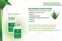 Nutrisalud Ürünleri Capsulas de Savila, Aloe Vera Capsules 500 mg. Set de 2 frascos 100 capsulas CADA uno.Efectivo Contra ülseras,agruras,mala Digestion,Colitis,estreñimiento. Dura mask de 3 Meses.