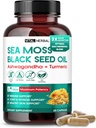 Sea Moss με Black Seed Oil, Ashwagandha, Turmeric & Moringa – Immune, Joint & Skin Support Supplement – 60 κάψουλες – Vital Herbal – Lab-Tested, Μη ΓΤΟ, Made in USA