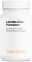 Supersmart - Lactobacillus Plantarum PostBiotic 20 Milyar CFU per Day (Immuno-LP20) - Heat-Treated Probiyotik Supplement | Non-GMO & Gluten Free - 60 Vegetarian Capsules