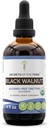 Secrets of the Tribe Black Walnut USDA Organic | Alcohol-Free Extract, High-Potency Herbal Drops | Made from 100% Certified Organic Black Walnut (Juglans Nigra) Dried Hull 4 oz