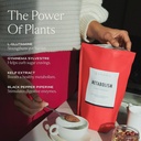 SAKARA Super Toz Paketi - Metabolism Super Toz, Chocolate & Fiber Super Toz, Pineapple Hint - Digestive Enzymes Supplement Toz